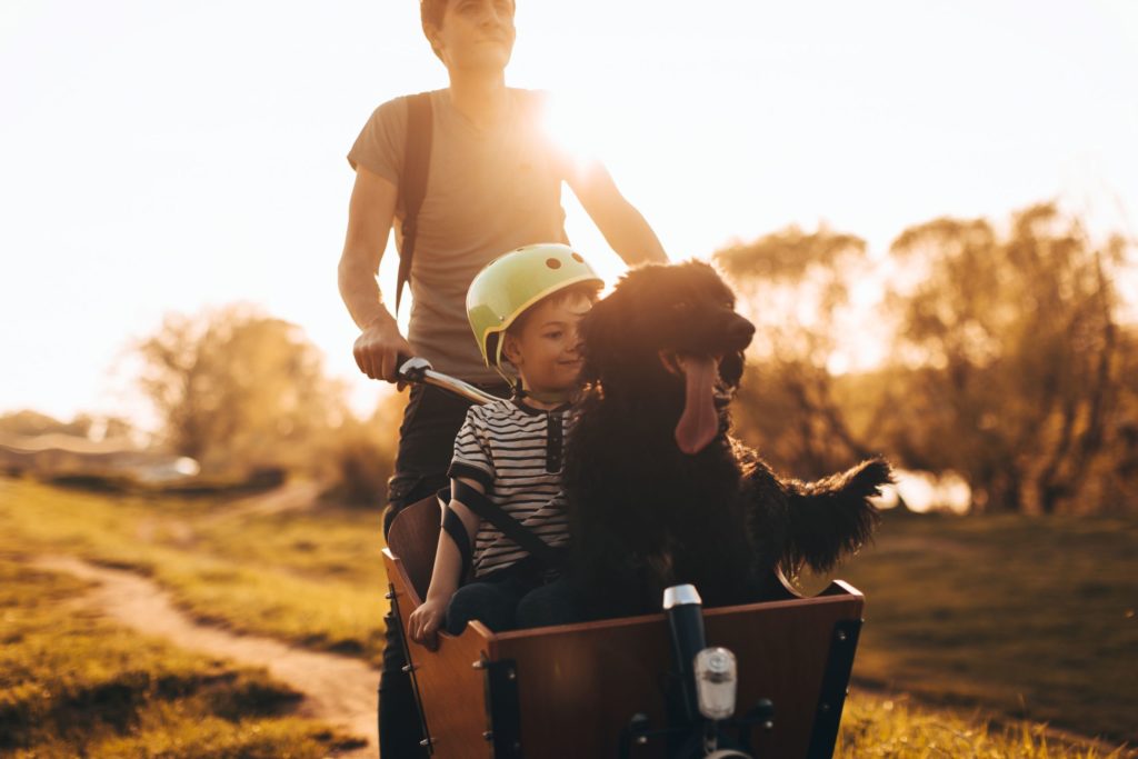 Father, son and their dog riding a cargo bike in nature