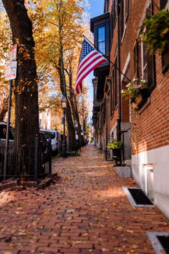 Fall leaves covering a brick sidewalk beside townhouses in Boston, MA