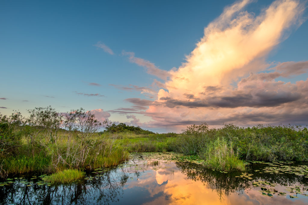 A mesmerizing view of Everglades National Park in Florida at sunset