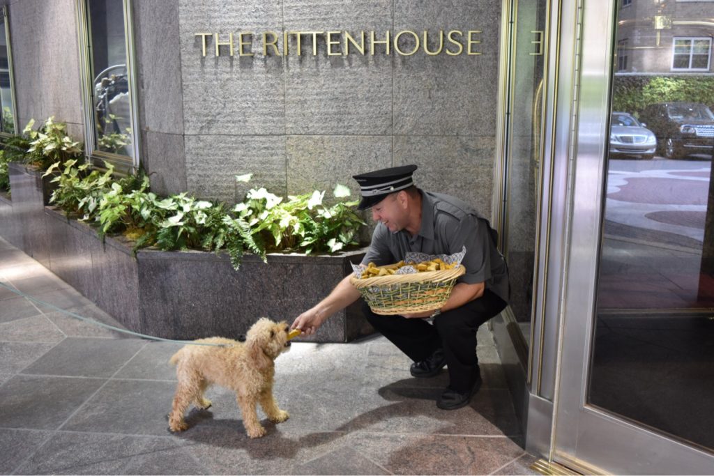 Doorman feeding treat to small dog in front of The Rittenhouse Hotel