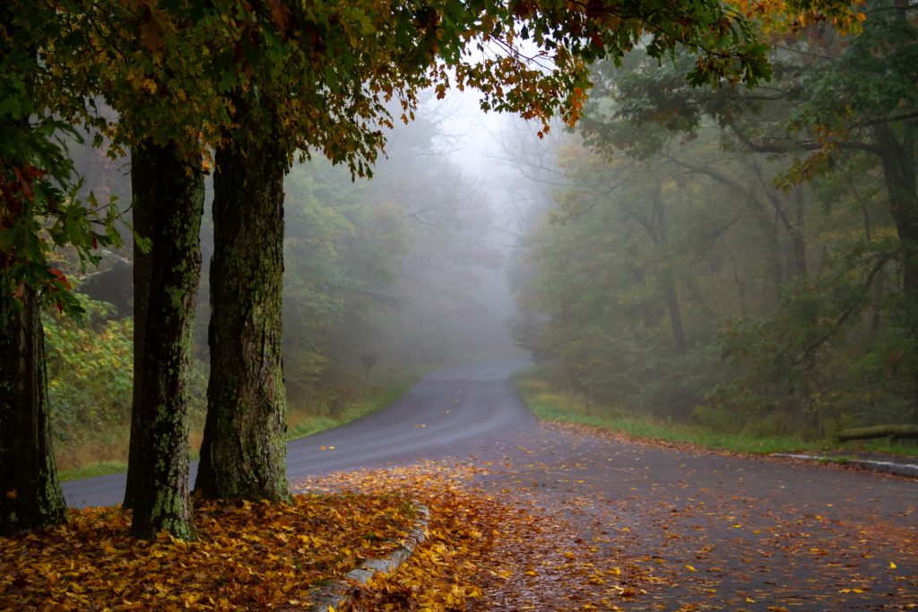 a foggy road surrounded by trees in the middle of Shenandoah National Park in autumn