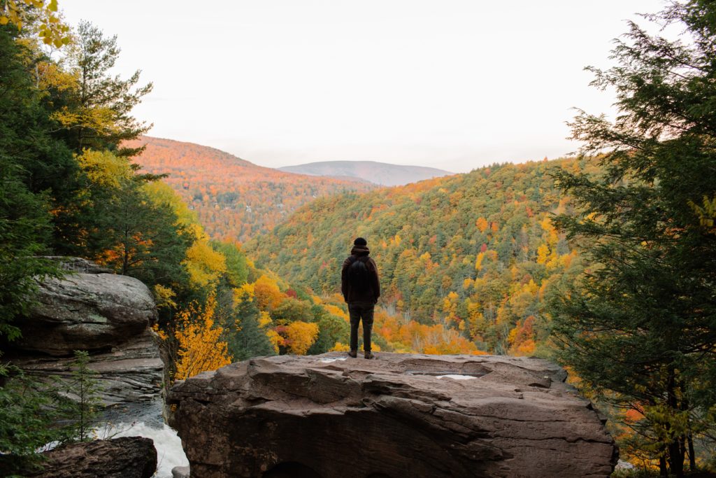 a person standing on a rock overlooking a forest in New York