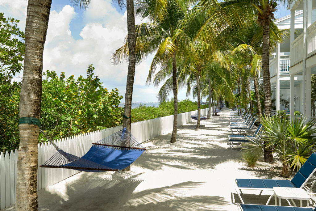 Hammocks between palm trees at Parrot Key Hotel & Villas in Key West