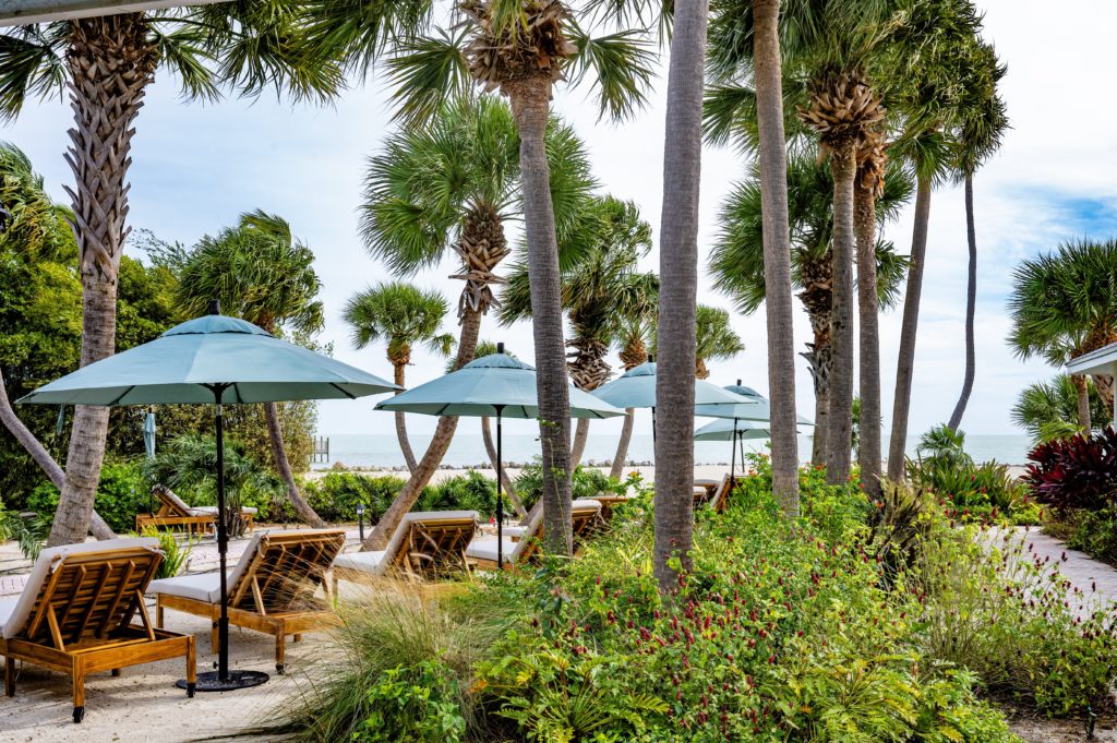 Lounge chairs and umbrellas surrounded by palm trees at Islander Resort in Islamorada